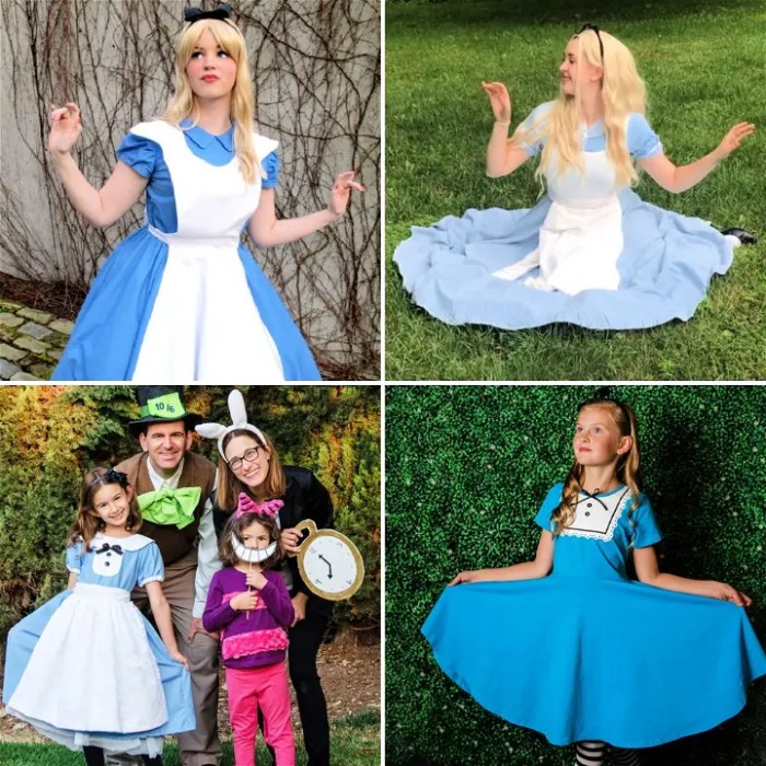 Alice in wonderland diy costume