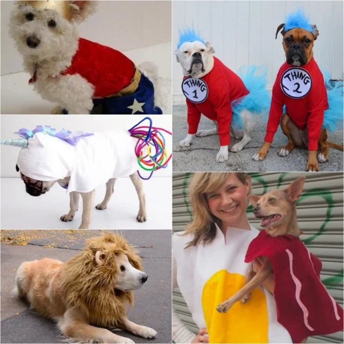 Dog costume ideas diy