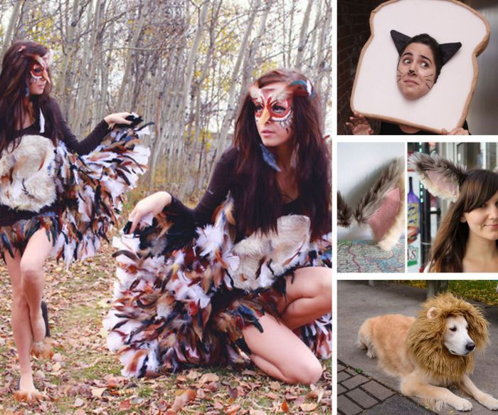 Farm animal costumes diy