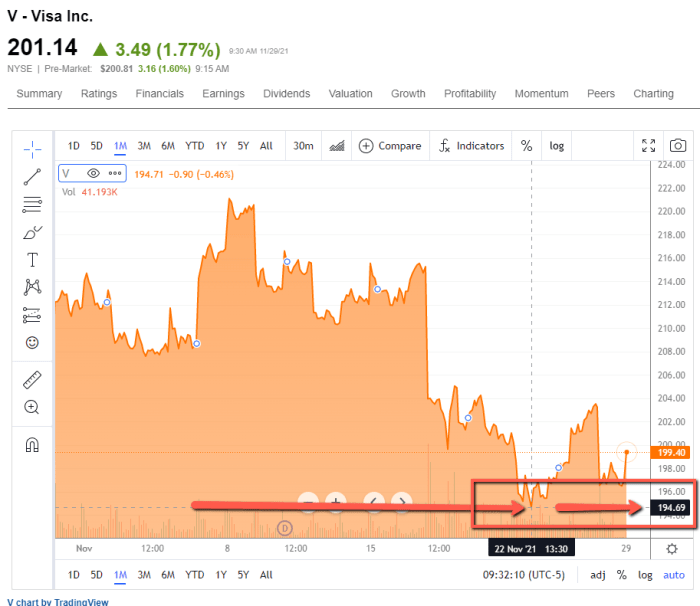 Vist stock price