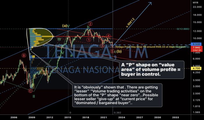 Tenaga stock price