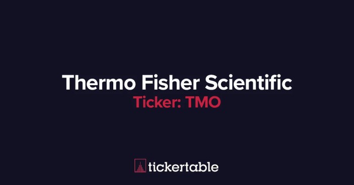 Thermo fisher tmo nyse