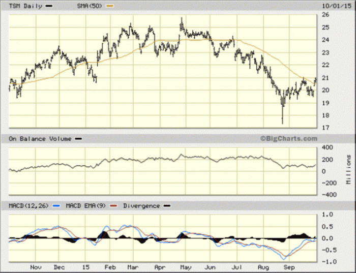 Tsm stock price prediction 2024